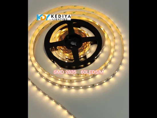 Fabrik Großhandel Bulkbuy IP20 Mehrfarbiger TV-Hintergrundbeleuchtungsschrank DC24V 12V Dekoration Beleuchtung Flexibles SMD2835 300 Shenzhen LED-Streifenlicht